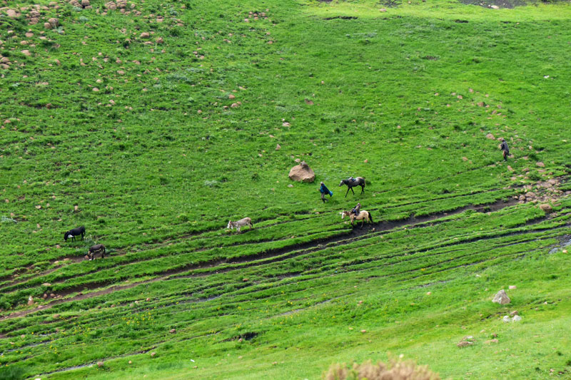 Lesotho